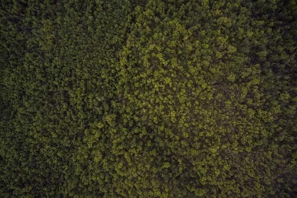 Transformation Digitale - Entreprise Industrielle